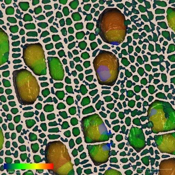 生物学4